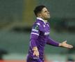 Fiorentina - Brugge, foto: Imago
