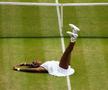 Serena Williams - evergreen