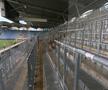 Imagini de la stadionul din Graz FOTO: Ionuţ Iordache (GSP)