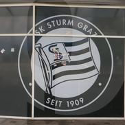 Imagini de la stadionul din Graz FOTO: Ionuţ Iordache (GSP)