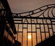 Wimbledon - tradiție, splendoare în iarbă și căpșuni