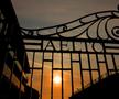 Elegantul Wimbledon va capta atenția fanilor tenisului timp de două săptămâni / foto: Guliver/Getty Images