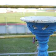 Cum arată Stadionul din Vaslui // foto: Andrei Furnigă (GSP)
