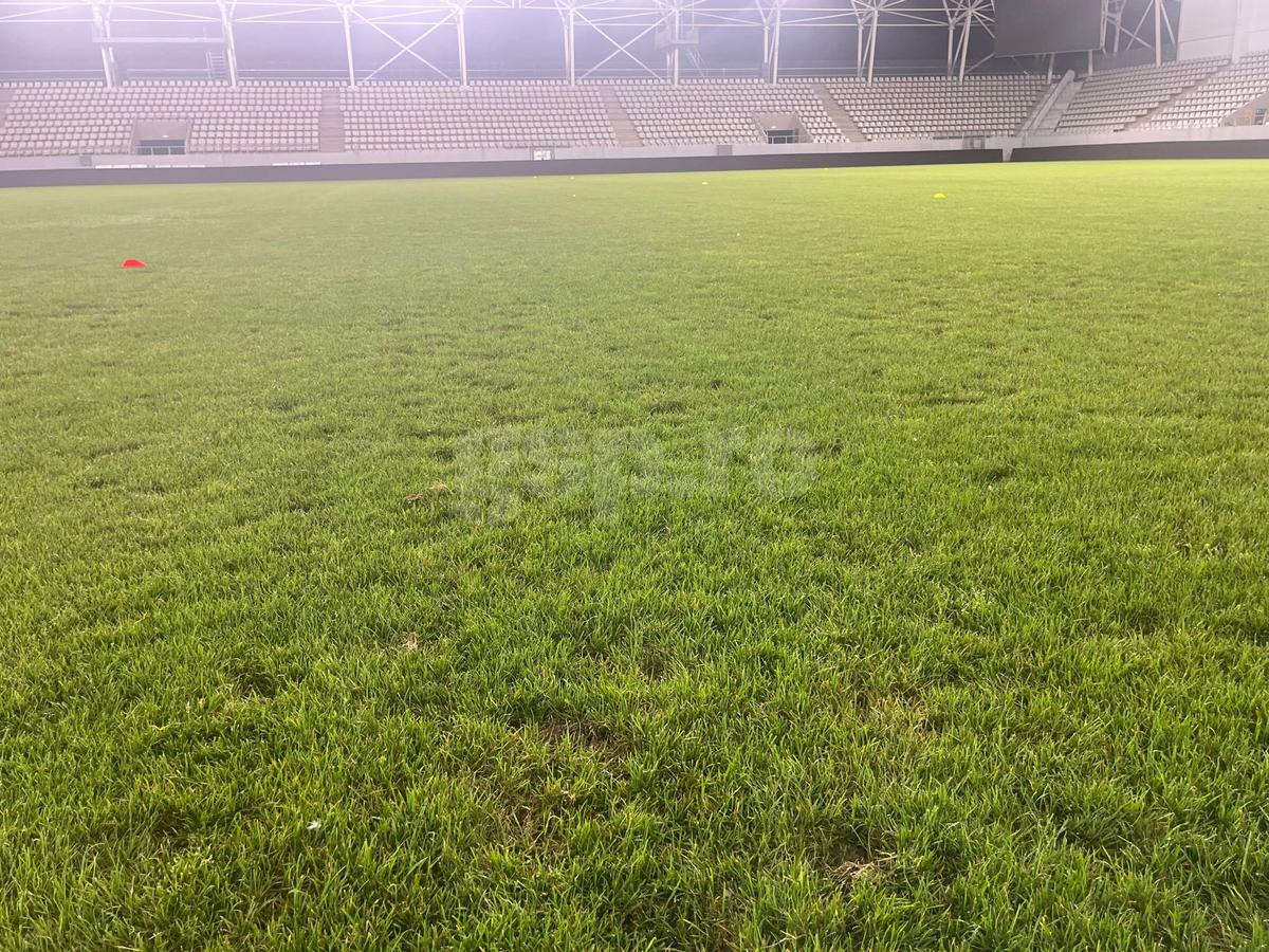 Încă un „adversar” pentru FCSB joi seara: gazonul de pe „Arc” arată deplorabil!