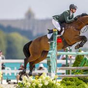 Imagini din competițiile ecvestre de la Jocurile Olimpice / Sursă foto: Imago Images