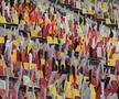 Imagini dinainte de Dinamo - FCSB // foto: Ionuț Iordache (GSP)
