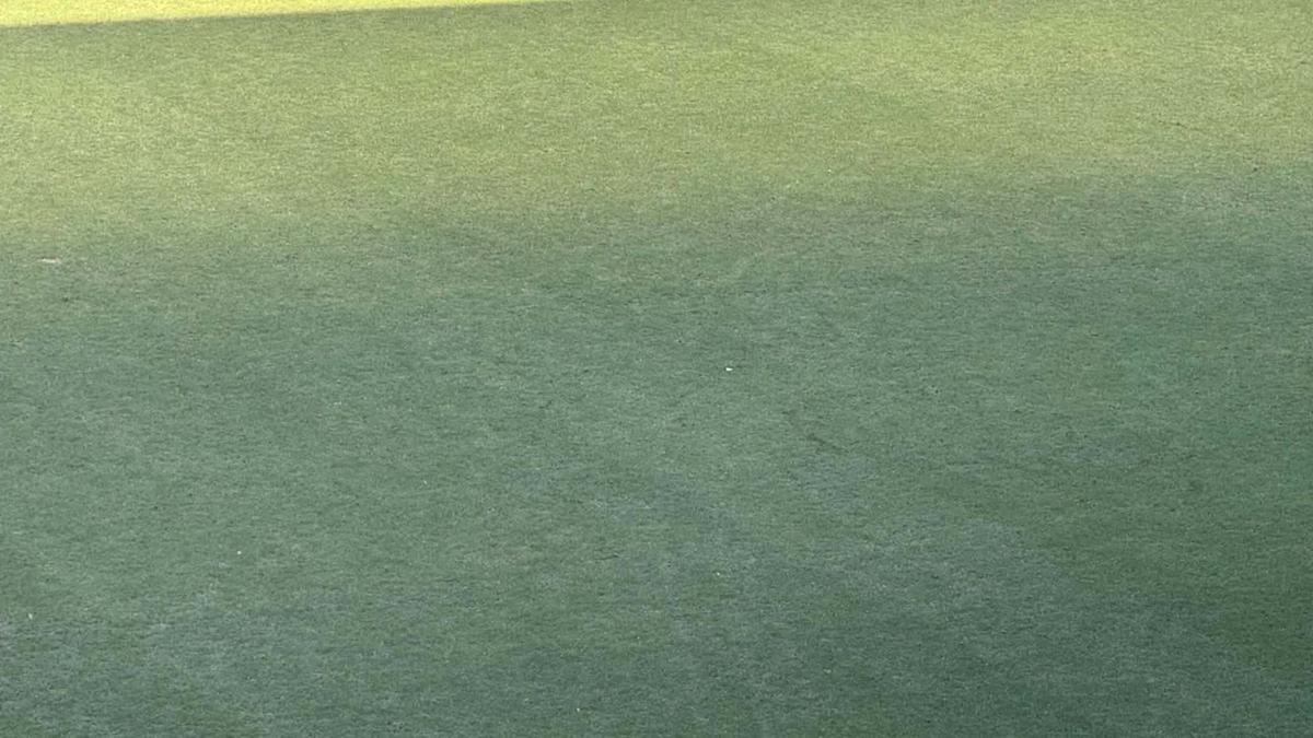 Gazonul de pe stadionul Steaua // 2 august 2026