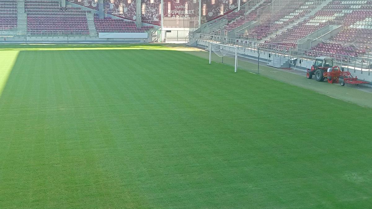 Mișcarea strategică făcută de Rapid, fără să anunțe public » Ce se întâmplă în Giulești, după numirea lui Marius Șumudică