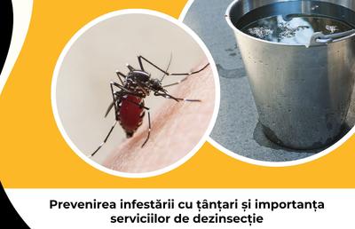 Prevenirea infestării cu țânțari și importanța serviciilor de dezinsecție