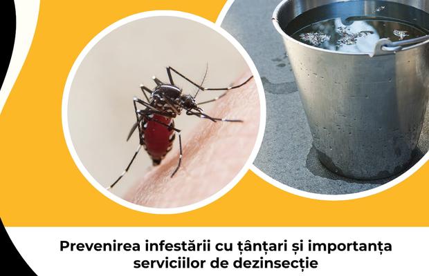 Prevenirea infestării cu țânțari și importanța serviciilor de dezinsecție