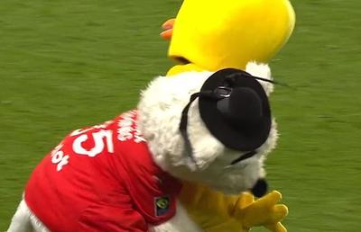 Duelul mascotelor în Rennes - Nantes » După un placaj ca la rugby mascota lui Nantes a fost luată cu targa