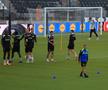 Antrenament oficial FCSB înaintea meciului cu PAOK Salonic din Europa League FOTO: Ionuț Iordache (GSP)