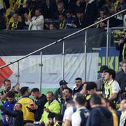 Steagurile Palestinei la Fenerbahce - Nice / Foto: Imago