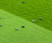 Peluza Nord și-a schimbat locul pe Arena Națională la FCSB - Young Boys, după sancțiunea aplicată de UEFA