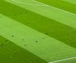 Peluza Nord și-a schimbat locul pe Arena Națională la FCSB - Young Boys, după sancțiunea aplicată de UEFA