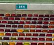 Peluza Nord și-a schimbat locul pe Arena Națională la FCSB - Young Boys, după sancțiunea aplicată de UEFA