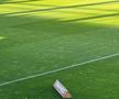 Imagini înainte de Rapid - Genoa