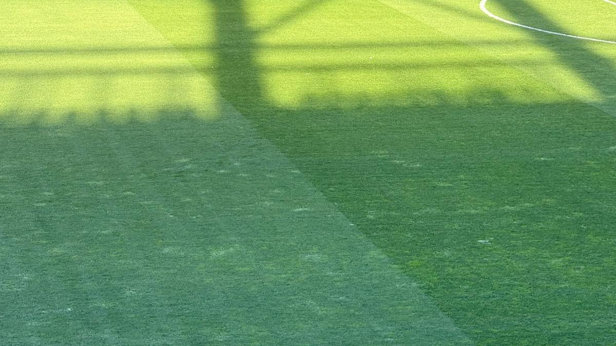 Imagini înainte de Rapid - Genoa