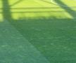 Imagini înainte de Rapid - Genoa