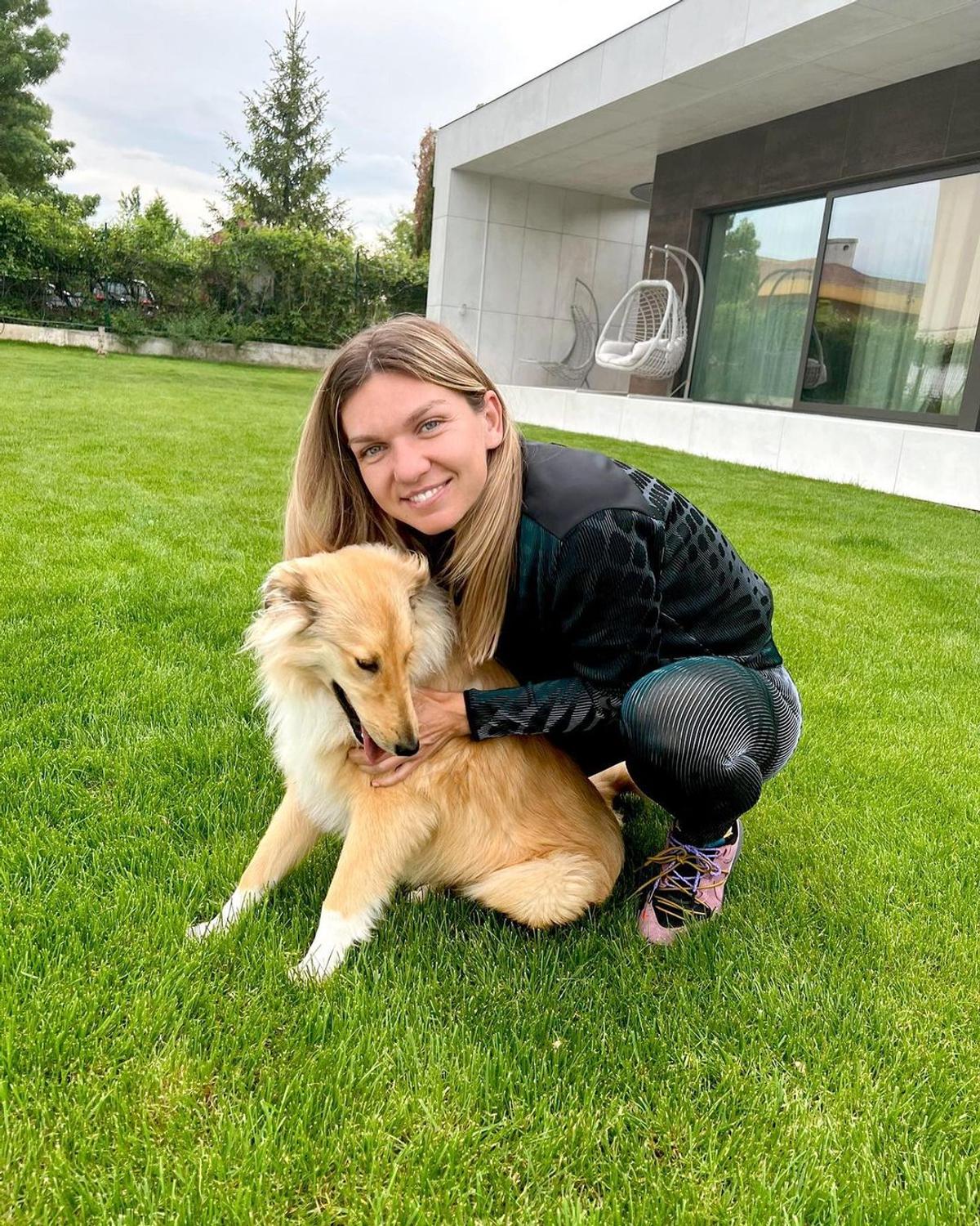 A venit vestea de la TAS! Când va începe procesul Simonei Halep