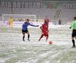 Botoșani - Viitorul 1-0