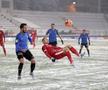 Botoșani - Viitorul 1-0