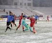 Botoșani - Viitorul 1-0