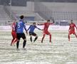 Botoșani - Viitorul 1-0