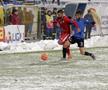 Botoșani - Viitorul 1-0