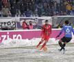 Botoșani - Viitorul 1-0
