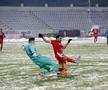 Botoșani - Viitorul 1-0