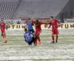 Botoșani - Viitorul 1-0