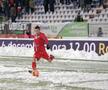 Botoșani - Viitorul 1-0