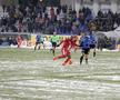 Botoșani - Viitorul 1-0