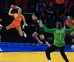 Imagini de la Olanda - Austria 34-22 FOTO: Ionuţ Iordache (GSP)