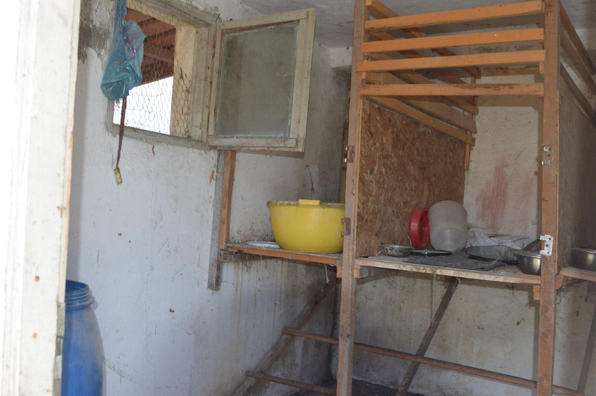 VIDEO + FOTO Cum arată acum locul în care s-au născut povești savuroase în anii ’90: bani pentru echipă câștigați la ruletă și oferta lui Gigi Becali înainte de a cumpăra Steaua
