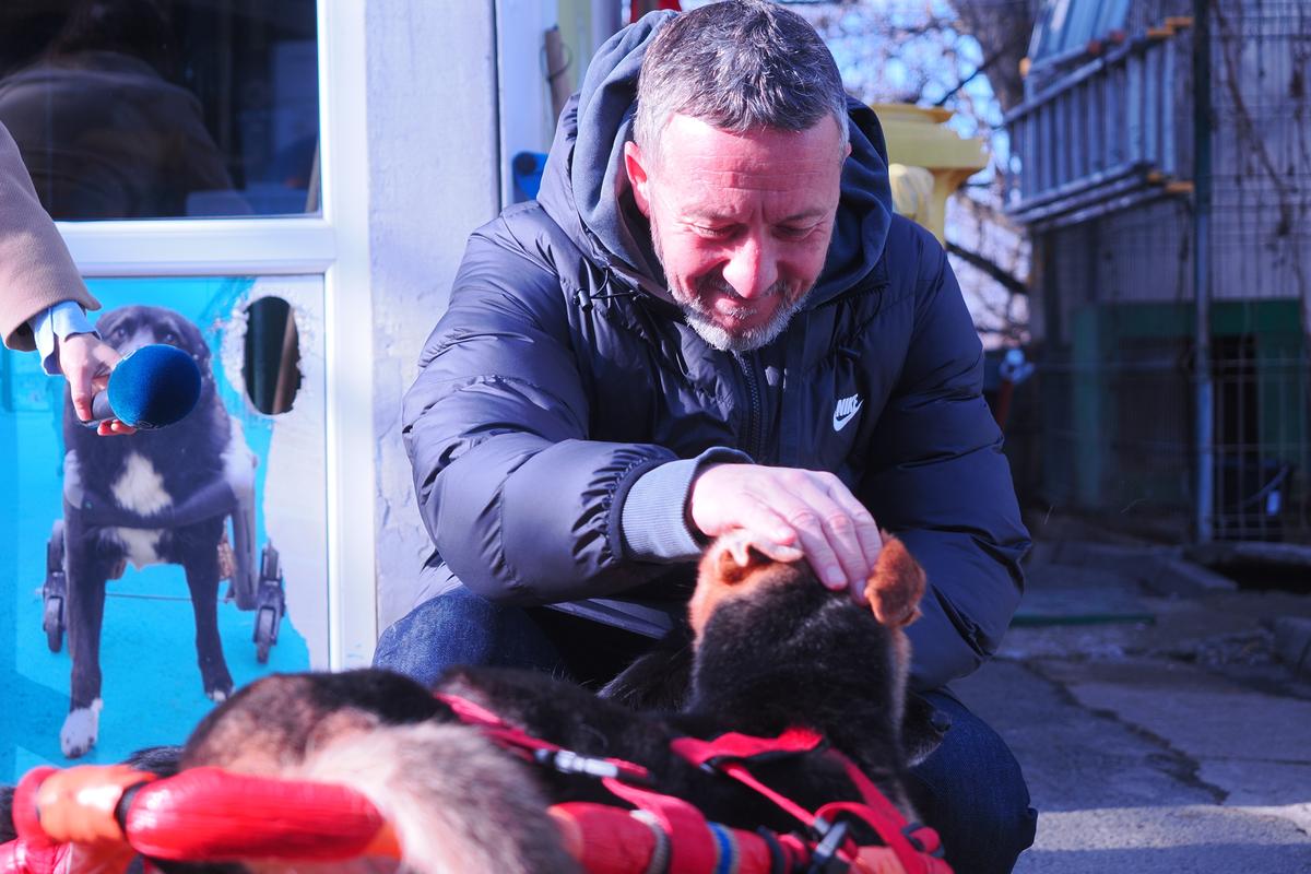 Mihai Stoica și fiica sa, Teodora, au gătit pentru câinii fără stăpân de la Adăpostul Speranța » Replica lui MM pentru „câinii” din Liga 1, după ce Dinamo a ajuns ultima în clasament