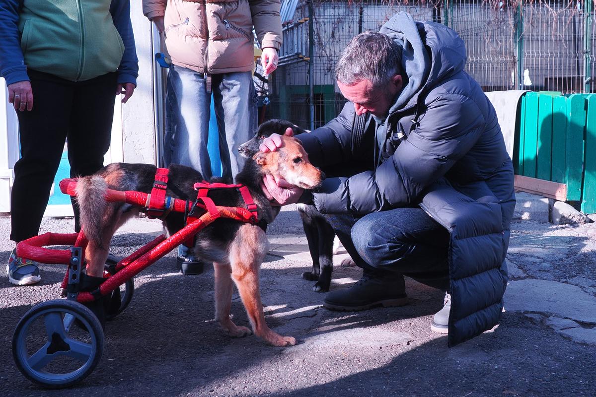 Mihai Stoica și fiica sa, Teodora, au gătit pentru câinii fără stăpân de la Adăpostul Speranța » Replica lui MM pentru „câinii” din Liga 1, după ce Dinamo a ajuns ultima în clasament