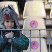 Petrolul - CFR Cluj. Imagini cu fani (foto: Ionuț Iordache/GSP)