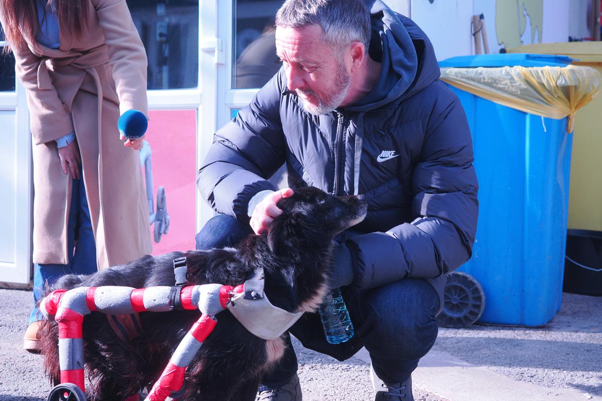 Mihai Stoica și fiica sa, Teodora, au gătit pentru câinii fără stăpân de la Adăpostul Speranța » Replica lui MM pentru „câinii” din Liga 1, după ce Dinamo a ajuns ultima în clasament