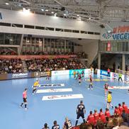 sursă foto: Facebook @ FRH - Federația Română de Handbal