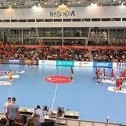 sursă foto: Facebook @ FRH - Federația Română de Handbal