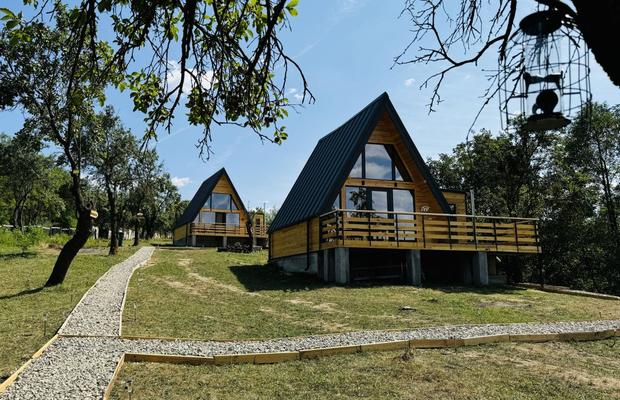 Ghid complet al cabanelor A-frame din România: Descoperă IezerVenture Cabins