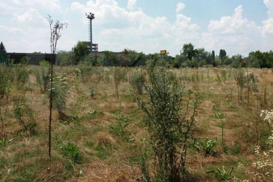 Baza Pro Rapid e în acest moment în paragină Conducerea Rapidului, anunț categoric despre baza Pro Rapid: „Am uitat de ea! Nu va mai fi niciodată a noastră”
