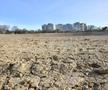 Imagini surprinse de fotoreporterul Gazetei pe șantierul stadionului din Constanța / FOTO: Cristi Preda