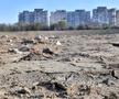 Imagini surprinse de fotoreporterul Gazetei pe șantierul stadionului din Constanța / FOTO: Cristi Preda