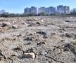 Imagini surprinse de fotoreporterul Gazetei pe șantierul stadionului din Constanța / FOTO: Cristi Preda