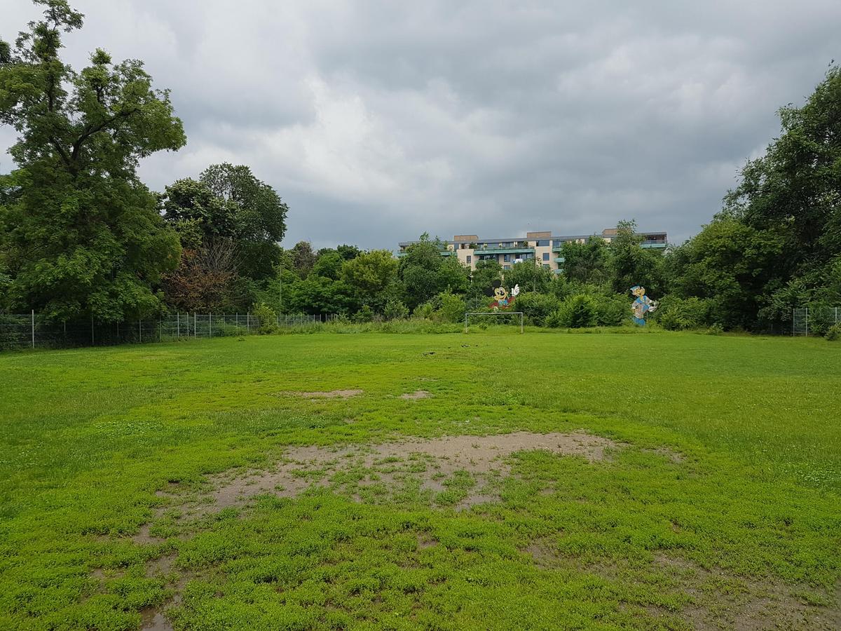 „O veste cu adevărat bună” » Ce se întâmplă cu celebra bază sportivă „Cireșarii”: „După mai bine de 10 ani”