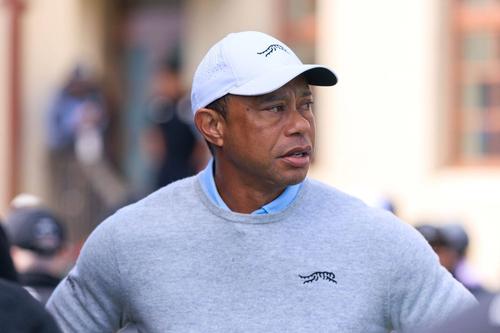Tiger Woods/Foto: Imago Images