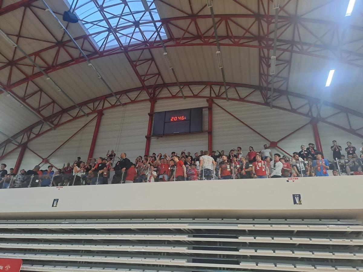 Fanii „câinilor” urmăresc FC Argeș - Dinamo în sala din Ștefan cel Mare